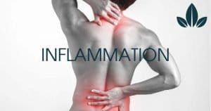 How CBD help in inflammation