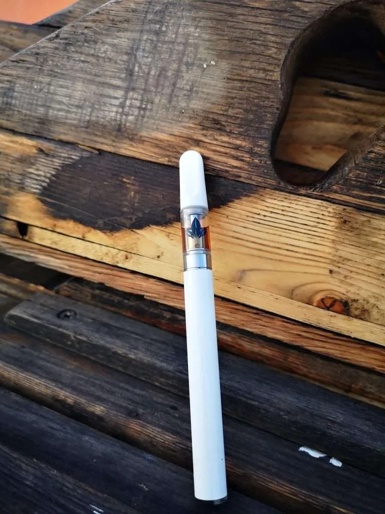 elf bar vape uk La mejor tienda de vapes en México – Vapeando Ando