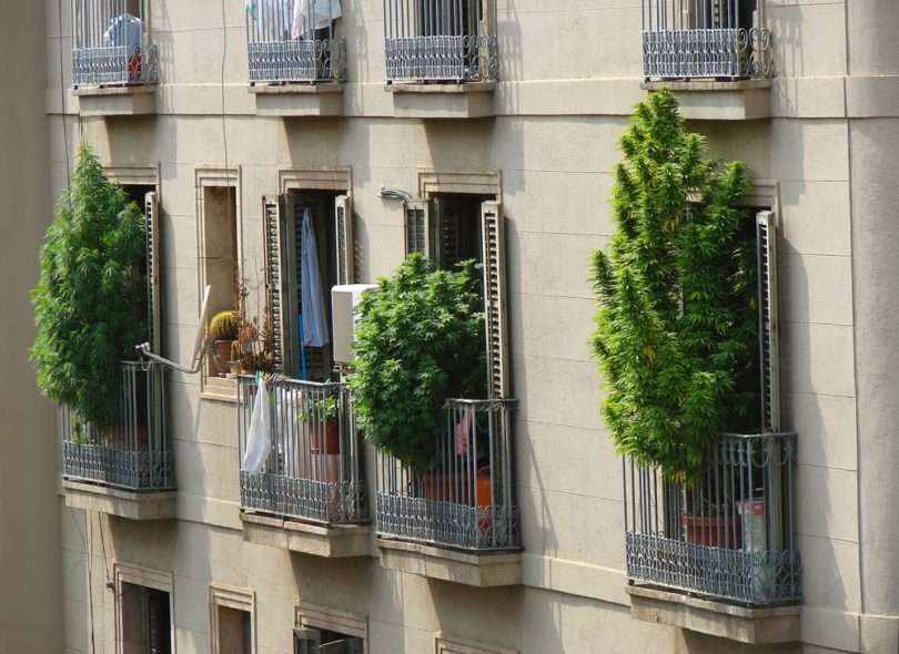 Descubre el secreto del 420 en Barcelona 4 e18 810x590 810x590 1