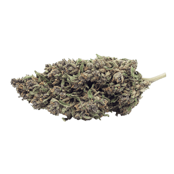 Flor CBD Amnesia Haze - Imagen 2