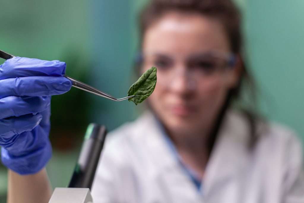 ¿El CBD da positivo en un test antidrogas? 1 Test antidrogas